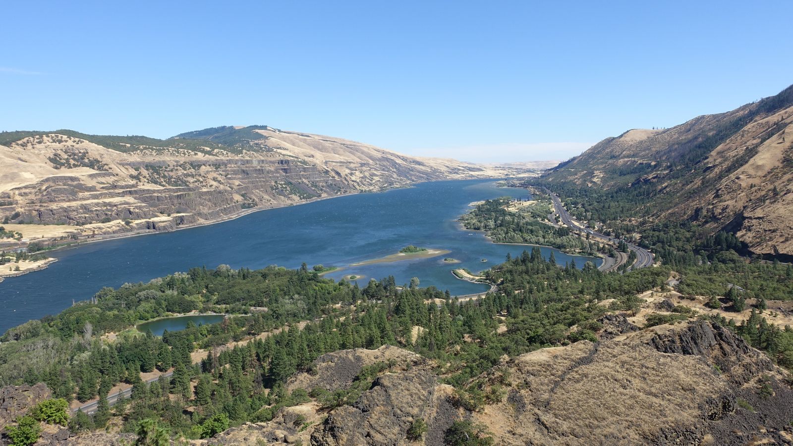The Columbia River winding between dry hills and pine woods in the Columbia River Gorge, one of the river cruises in the US